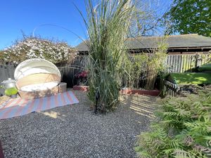 Marsh Way- click for photo gallery